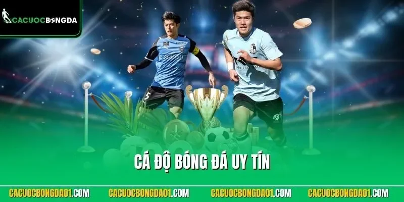 Cá Độ Bóng Đá Uy Tín