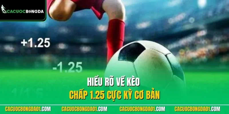 Hiểu rõ về kèo chấp 1.25 cực kỳ cơ bản
